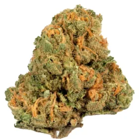 Jack Herer Weed