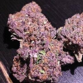 Purple Haze
