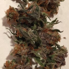 Alaskan Thunder Fuck