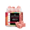 Artisan HHC THC Cube Gummies - Watermelon - 1250MG