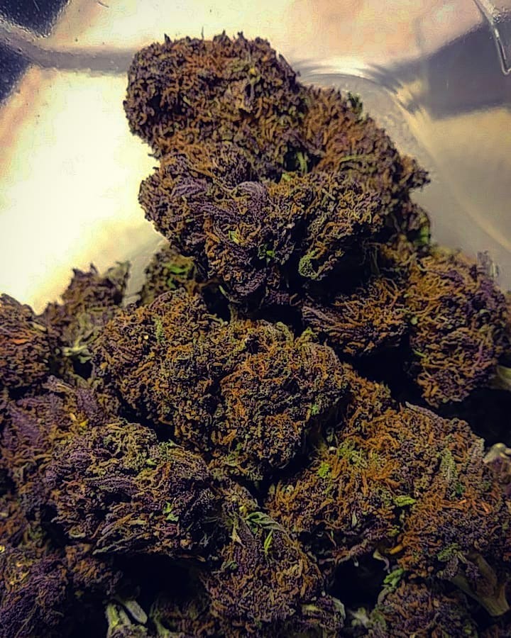 purple kush